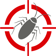 Stone Fumigation