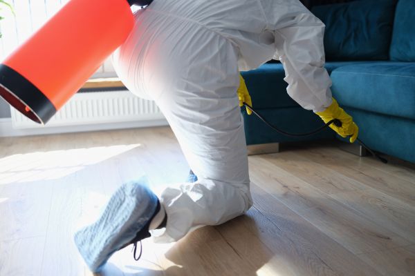 Mouse Fumigation Service