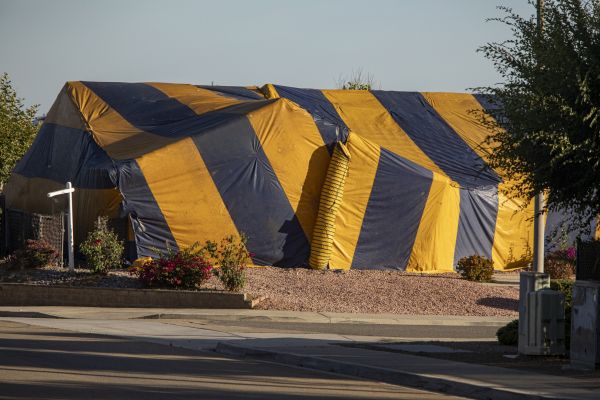 Termite Tenting Service