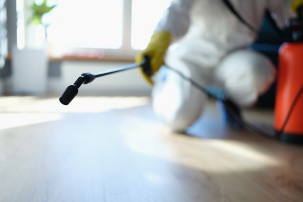 Residential Fumigation Service