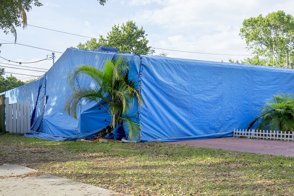 Home Fumigation Service