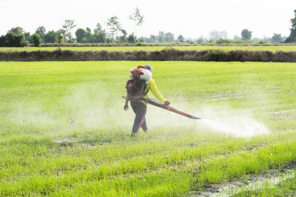 Commercial Fumigation Service