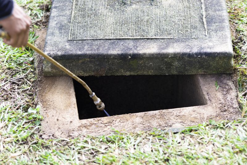 Types Of Pests That Require Fumigation Treatment